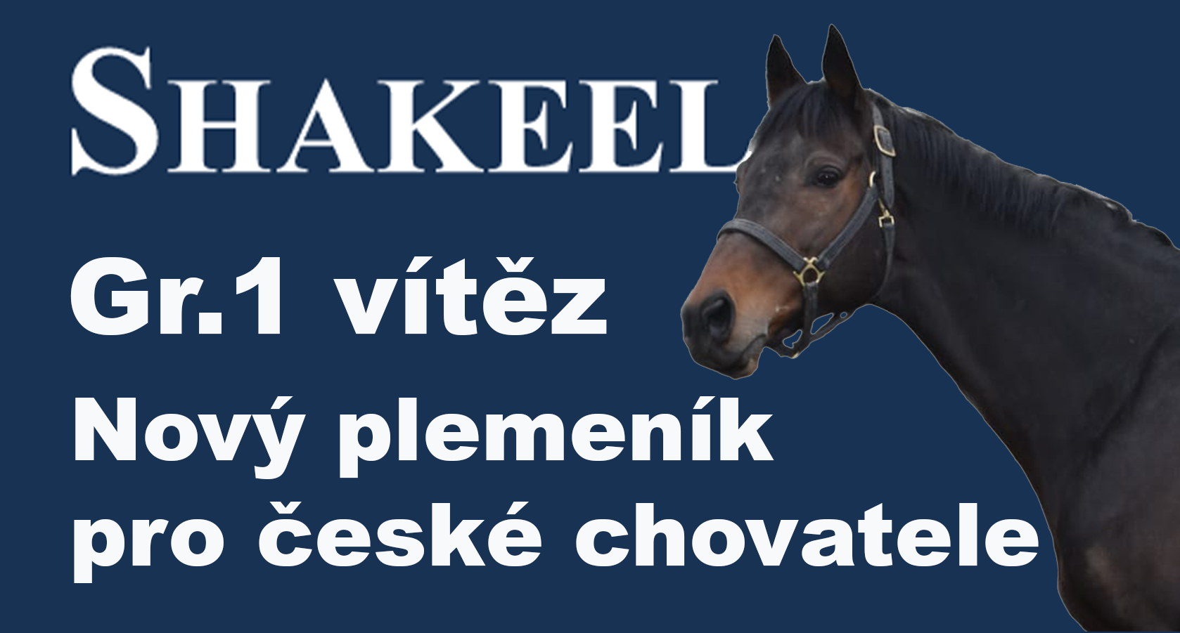 shakeel