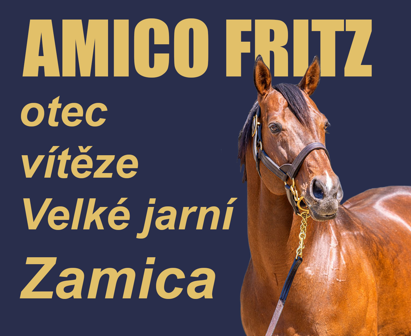 Amico Fritz 2023