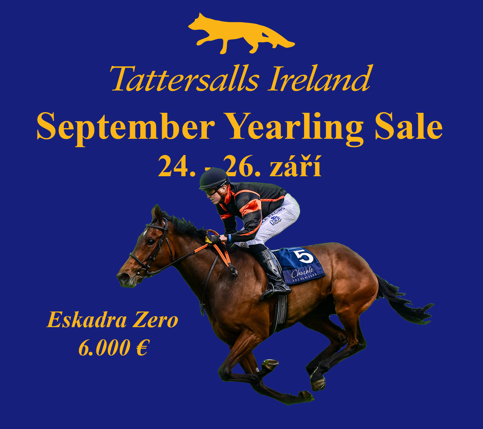 tattersalls ireland september yearling sale 24