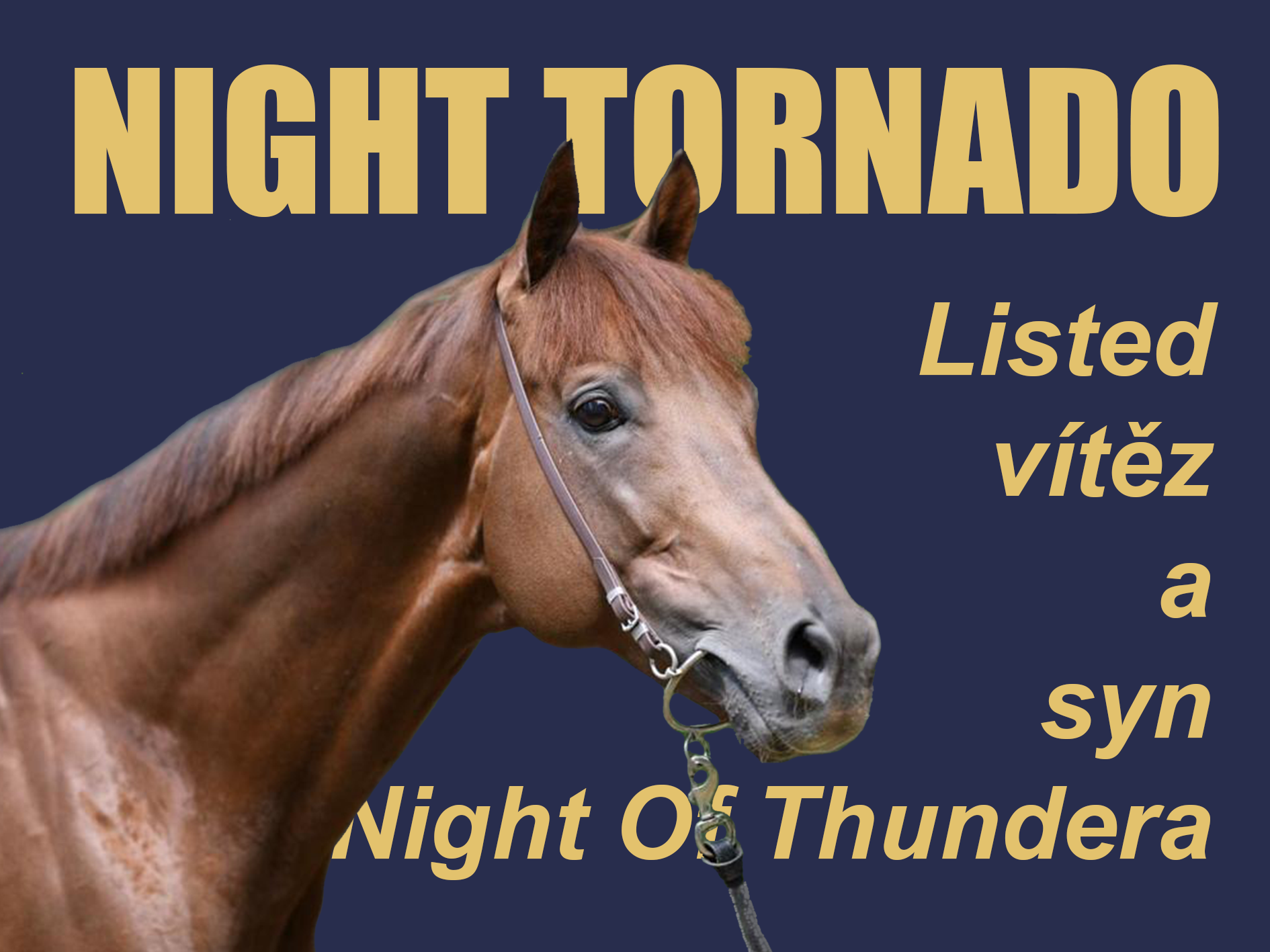 night tornado 26