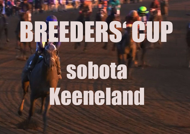 Hlavní program Breedres‘ Cupu je v sobotu