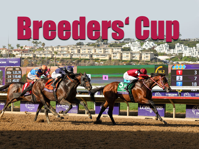 Získá Forever Young double nebo se dočká Godolphin? Je tu Breeder’s Cup!