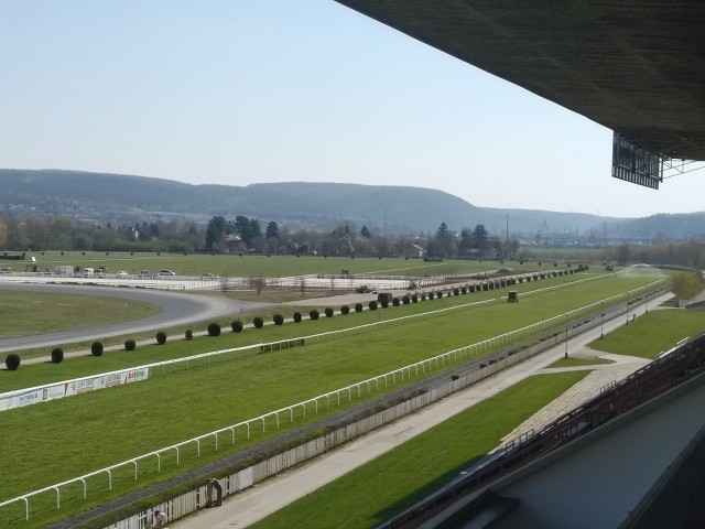 Jockey Club zveřejnil propozice, České derby se poběží v září