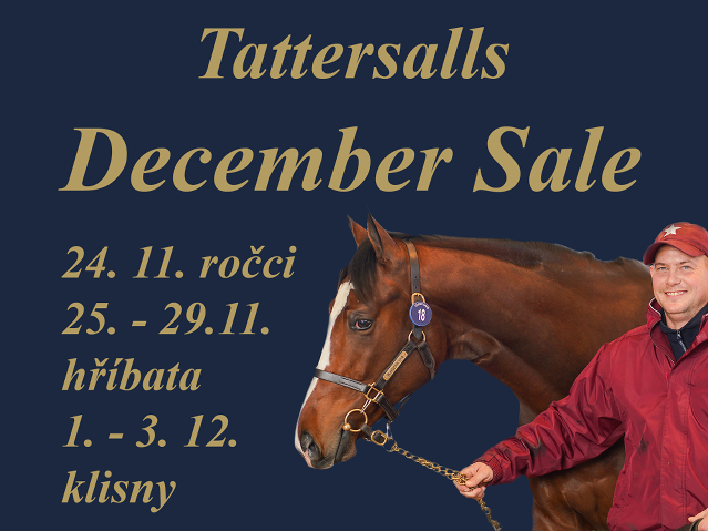 Tattersalls December Sale