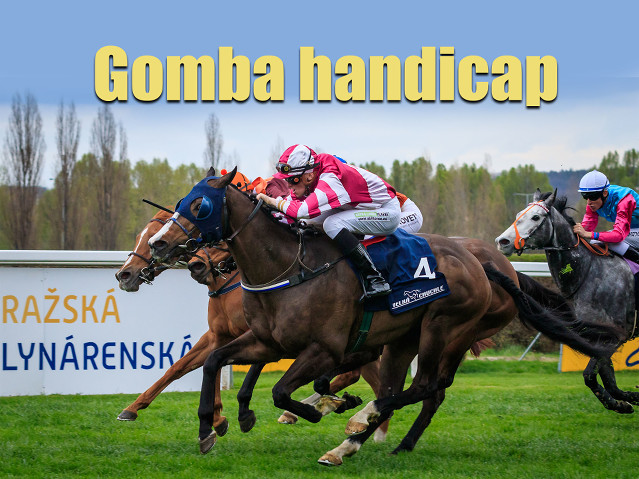 Gomba handicap