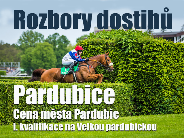 Rozbory dostihů: Pardubice - 25. 5. - I. kvalifikace na VP