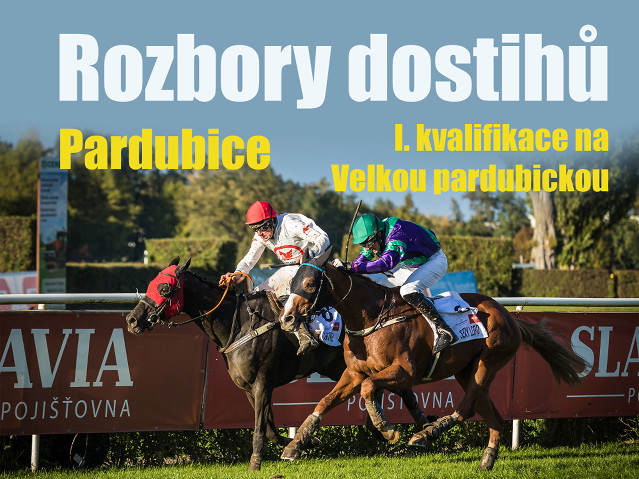 Rozbory dostihů: Pardubice - 24. 5. - I. kvalifikace na VP