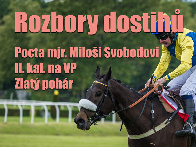 Rozbory dostihů: Pardubice - 22. 6. - II. kvalifikace na VP