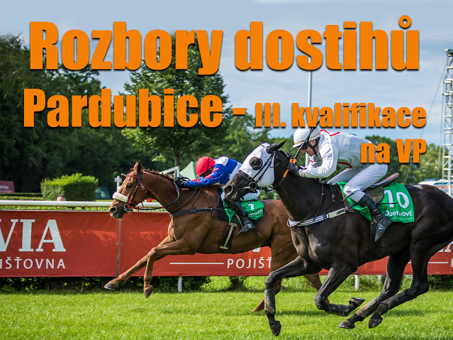 Rozbory dostihů: Pardubice - 3. 8. - III. kvalifikace na VP