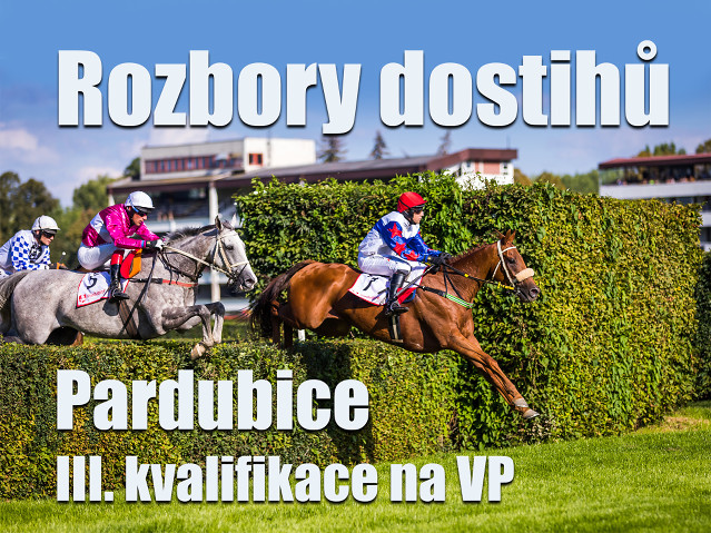 Rozbory dostihů: Pardubice - 2. 8. - II. kvalifikace na VP