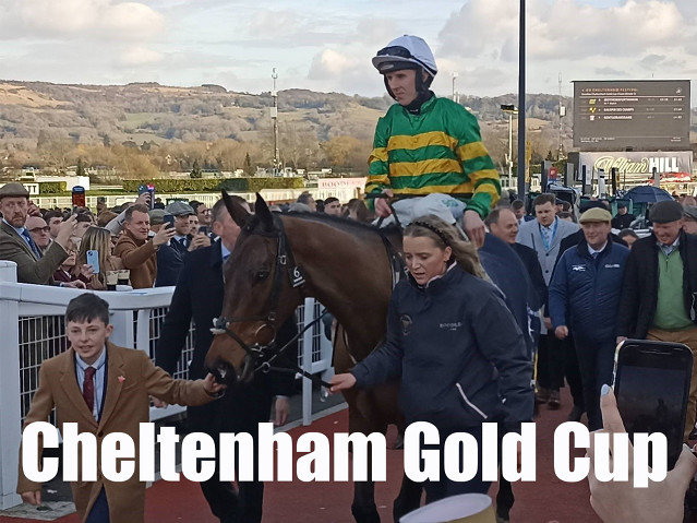 Cheltenham Gold Cup, nová jména proti obhájci