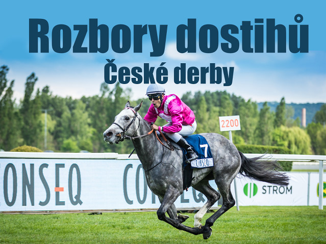 Rozbory dostihů: Velká Chuchle - 23. 6. - České Derby