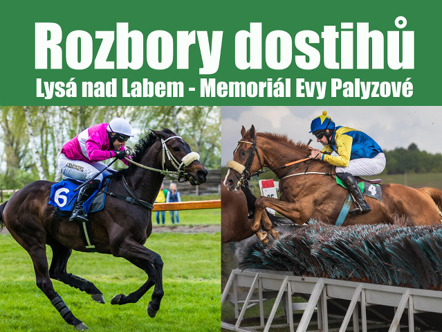 Rozbory dostihů: Lysá nad Labem - 6. 7. - Memoriál Evy Palyzové