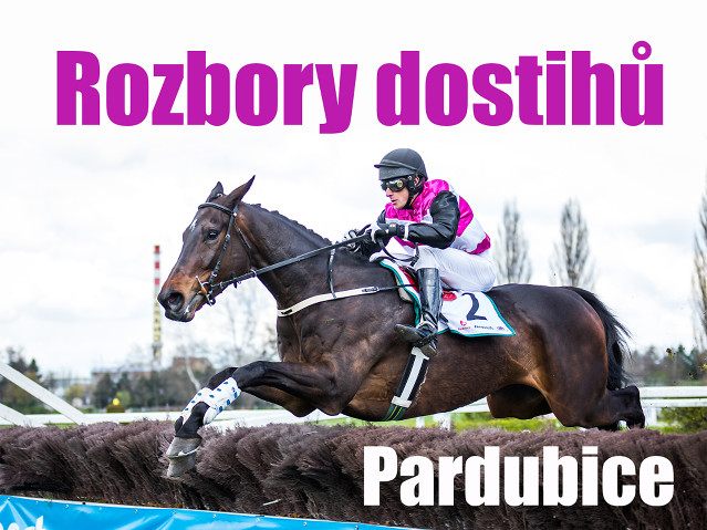 Rozbory dostihů: Pardubice - 18. 4. - Jarní cena pardubického závodiště