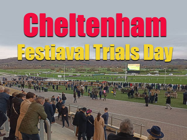 Festival Trials Day v Cheltenhamu