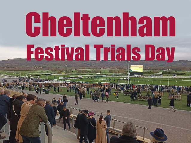 Festival Trials Day v Cheltenhamu