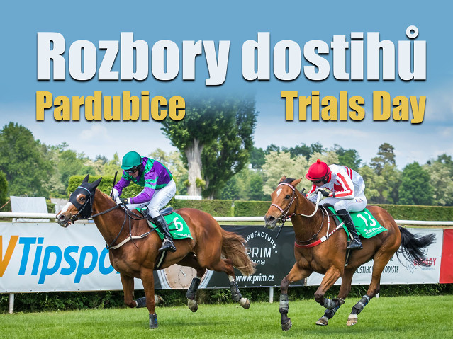 Rozbory dostihů: Pardubice - 6. 9. - IV. kvalifikace na VP