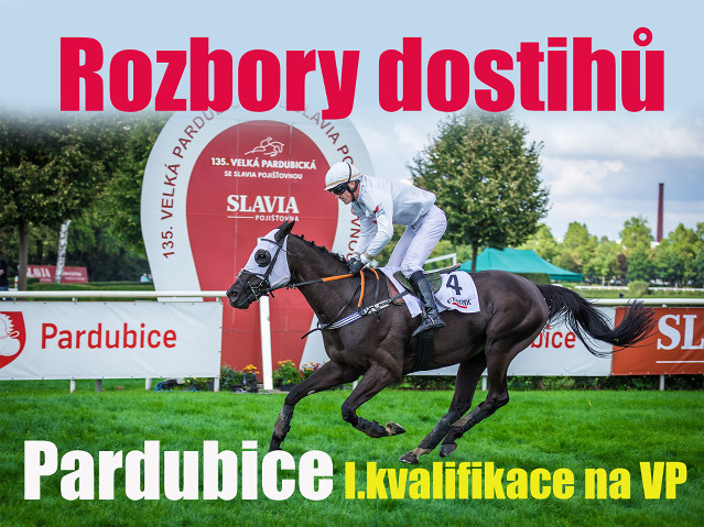 Rozbory dostihů: Pardubice - 23. 5. - I. kvalifikace na VP