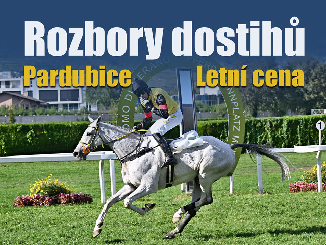 Rozbory dostihů: Pardubice - 16. 8. - Letní cena města Pardubic
