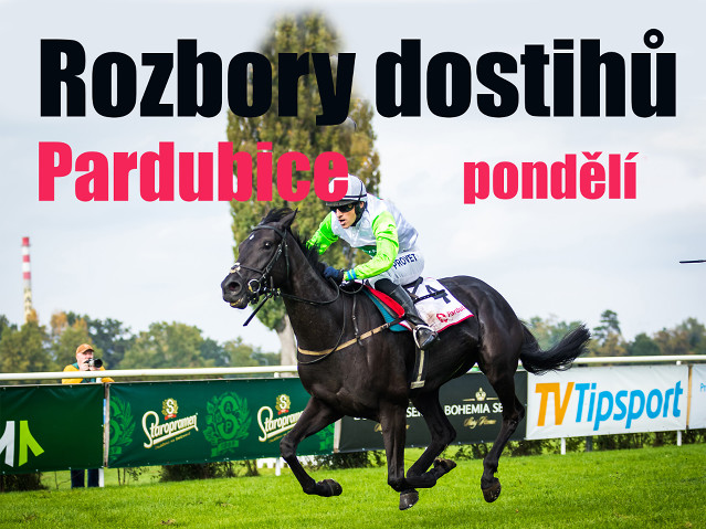 Rozbory dostihů: Pardubice - 15. 9. - Letní cena města Pardubic