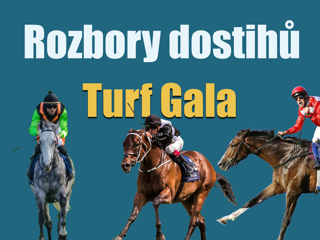 Rozbory dostihů: Bratislava - 1. 6. - Turf Gala