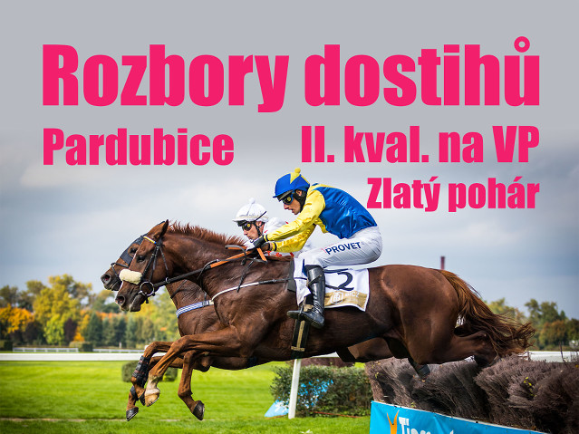 Rozbory dostihů: Pardubice - 21. 6. - II. kvalifikace na VP