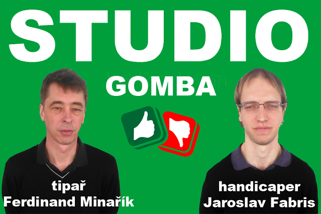 Studio Gomba