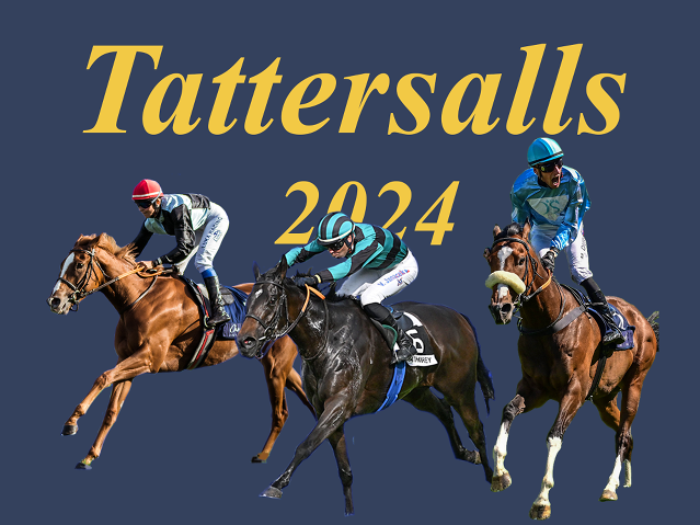 Seznam dražeb Tattersalls v roce 2024