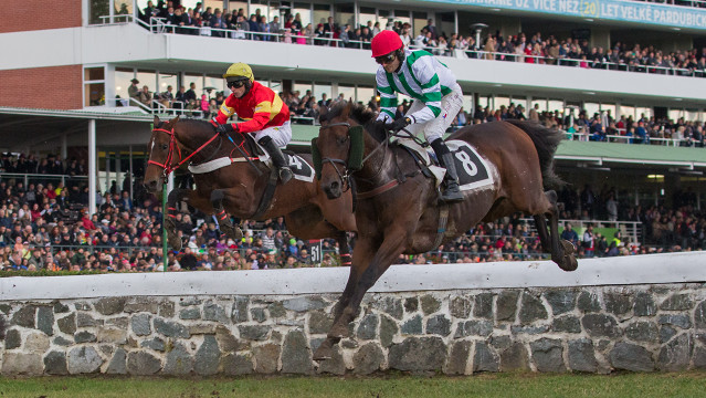 Theophilos obhajuje Prvomájovou steeplechase - rozbor dostihu