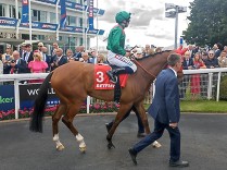 Mezinárodní klasifikaci vévodí Calandagan, mezi světovou elitou také Jawwal