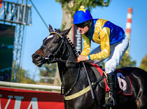 Cheminée kralovala v Auteuil, Anaking v Angers