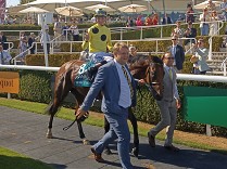 Reportáž: Glorious Goodwood dostál svému jménu