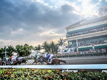 Pegasus World Cup přišel o hlavní favority