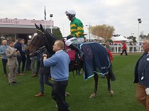 Lahůdka v Sandownu na konec překážkové sezóny