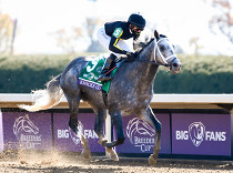 Pegasus World Cup ustoupil ze slávy