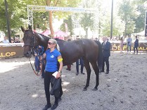 Nagano Gold smetl soupeře, v plánu je Royal Ascot i „Oblouk“