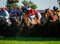 Cheltenhamský kros s pardubickými účastníky