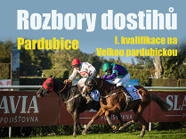 Rozbory dostihů: Pardubice - 24. 5. - I. kvalifikace na VP