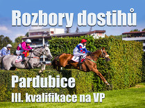 Rozbory dostihů: Pardubice - 2. 8. - II. kvalifikace na VP