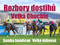 Rozbory dostihů: Velká Chuchle - 3. 4. - Gomba handicap, Velká dubnová cena