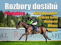 Rozbory dostihů: Pardubice - 11. 10. - Křišťálový pohár