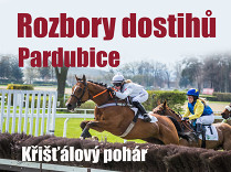 Rozbory dostihů: Pardubice - 10. 10. - Křišťálový pohár
