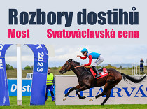 Rozbory dostihů: Most - 24. 8. - Svatováclavská cena