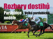 Rozbory dostihů: Pardubice - 13. 10. - Velká pardubická