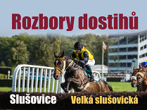 Rozbory dostihů: Slušovice - 28. 10. - Velká slušovická steeplechase