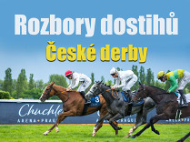 Rozbory dostihů: Velká Chuchle - 22. 6. - České Derby