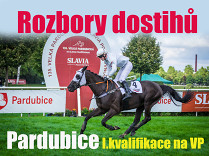 Rozbory dostihů: Pardubice - 23. 5. - I. kvalifikace na VP