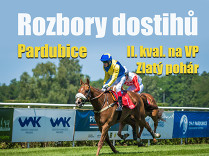 Rozbory dostihů: Pardubice - 20. 6. - II. kvalifikace na VP