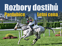 Rozbory dostihů: Pardubice - 16. 8. - Letní cena města Pardubic