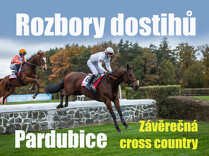 Rozbory dostihů: Pardubice - 31. 10. - Závěrečná cross country
